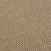 Sauder Pet Replacement Scratcher - Tan | Durable and Stylish Scratch Board - Buy Online on GoSupps.com