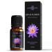 Smoky Haven- Blue Lotus Essential Oil Pure Extract- Premium Grade (1 oz.) | for Aromatherapy Cosmetics Hair Soaps | Organic Vegan & Ethically Sourced