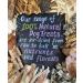 Paddywack 200g Natural Dog Treats Chews - Premium Quality and Healthy Snack for Dogs - Buy Online on GoSupps.com
