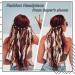 Bohemian Feather Hairband Indian Gypsy Headband with White and Brown Feathers - Festival Hippie Costume Accessory - Buy Online on GoSupps.com