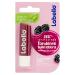 Labello Blackberry Shine lip balm 5.50 ml colorful and foster lip balm with blackberry taste 24 hours of moisturizing lip balm with natural ingredients