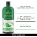 Organic Liquid Greens Chlorophyll Sampler - 4 Organic Grasses - 400mg / svg - Detox - Alkaline - Natural Body Deodorant Antioxidant - Made in Canada (2 X 60ml) - Buy Online on GoSupps.com