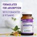 New Chapter Fermented Vitamin B Complex with Organic Herbs & Maca - 100% Vegan, Gluten-Free - 90 Count - Buy Online on GoSupps.com