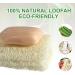 3PCS Natural Loofah Sponge Exfoliating Body Scrubber Set - Sustainable, Eco-Friendly, Egyptian Bath Get Clean - Ideal for Face & Back - Buy Online on GoSupps.com
