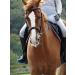 Turners Stunning Black Leather Snaffle Cavesson Horse Riding Bridle with Reins (Pony) - Buy Online on GoSupps.com