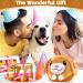 Non-Toxic Moving Dog Toys Ball | Active Plush Pet Toys for Training | Bite-Proof & Safe for International Shipping - Buy Online on GoSupps.com