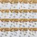DIY Rhinestones & Decorations Art Decals Jewelry Pearl Sticker Polish Manicure Nail Art Decals Nail Decor Butterfly-shape Nail Art Butterfly-shape Drill(13) - Buy Online on GoSupps.com