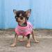 LOPHIPETS Pink XXS 100% Cotton Rib Dog Shirt Vest for Small Dogs - Teacup Chihuahua Yorkie Puppy Clothes Tank Tee - Buy Online on GoSupps.com