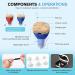 iBstone Rechargeable Hearing Amplifier | Mini Digital CIC Hearing Devices for Adults & Seniors | Blue & Red Pair | K17 - Buy Online on GoSupps.com