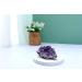 Jovivi Amethyst Clusters 0.18 lb-0.33 lb Natural Raw Geode Healing Crystals | Witchcraft Gemstone Specimen 80-150g - Buy Online on GoSupps.com