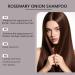  ZHJZGS Rosemary & Onion 3-in-1 Hair Care Shampoo for a thicker moisturizing and deep clean fuller-looking hair lasting and soft (4PCS) - Buy Online on GoSupps.com