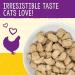 Stella & Chewy's Freeze-Dried Raw Chicken Cat Dinner Morsels - 1.12 lb Pack - Packaging May Vary - Buy Online on GoSupps.com