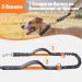 Snocyo Reflective Jogging Leash for Medium & Large Dogs | Elastic Double Handle & Waist Valve | Retractable Running Dog Leash in Gray & Orange - Buy Online on GoSupps.com