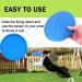 Jinyunmin 2-Pack Dog Frisbee Toys - 18cm Perfect for Training Throwing & Catching - Purple & Blue - Buy Online on GoSupps.com