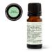 Plant Therapy Niaouli 1 8-Cineole Essential Oil 10 mL (1/3 oz) 100% Pure Undiluted Aromatherapy Soothing Essential Oils for Skin Irritation and Muscle Soreness - Buy Online on GoSupps.com
