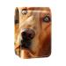 Lipstick Case Leather Lip Gloss Lipstick Organizer with Mirror Mini Lipstick Holder Bag Dog Golden Retriever D876w6eobs
