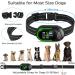Wizco Rechargeable Smart Dog Bark Collar | Anti Bark Training with Adjustable Sensitivity | No Shock | for Large, Medium, Small Dogs (Black) - Buy Online on GoSupps.com