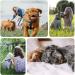 Metal Double Dog Leash Coupler Metal Durable Dog Chain Metal Double Dog Lead Rope Pet Dog Leash Extension Splitter Lead for 2 Dogs for Walking - Buy Online on GoSupps.com