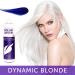 Framesi Color Lover Dynamic Blonde Purple Shampoo - Sulfate Free Shampoo for Color Treated Hair - 16.91 Fl Oz - Buy Online on GoSupps.com