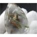 Natural Red Ghost Garden Quartz Crystal Chorite-Crystals Rutilated Stone Raw Stones and Minerals - Buy Online on GoSupps.com