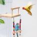 Bird Perches Cage Toys Bird Platform Stand Wooden Pet Bird Cage Hammock Swing Climbing Toys Bird Perch Chewing Toy for Budgie Green Cheeks Baby Lovebird Chinchilla