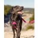 Joytale Reflective Dog Harness for Medium-Sized Dogs - Soft Padded Adjustable Breathable with Control Handle - Bright Pink (1 Pack) - Buy Online on GoSupps.com