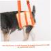 GANAZONO Pet Leg Assist Belt Puppy Rehabilitation Dog Vest Pet Lift Chest L Orange - Buy Online on GoSupps.com