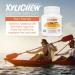 Xylichew Fruit Chewing Gum - 60 Pieces (2.75 oz) | Natural Sweetener, Sugar-Free - Buy Online on GoSupps.com