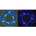 FLYDAY LED Flying Disc Soft for Kids - Birthday Outdoor Play Medium Size - Buy Online on GoSupps.com