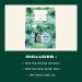 Buy The Body Shop Pine & Divine Wild Pine Mini Gift Set | Invigorating Holiday Skincare Kit | Vegan | 3 Items | International Shipping - Buy Online on GoSupps.com