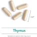 Nutricology Thymus 75 Vegicaps - Immune Support & Health Supplement - Buy Online on GoSupps.com