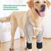 Dog Recovery Front Legs Sleeve Dog Front Leg Braces Dog Elbow Brace Protector Pads Dog Elbow Protector Joint Warming Breathable Adjustable Dog Front Leg Sleeve for Dogs Puppy (L) - Buy Online on GoSupps.com