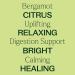 Buy 100% Pure Bergamot Essential Oil - Natural & Therapeutic Grade 30 mL - Plant Therapy - Fast International Shipping - Buy Online on GoSupps.com