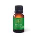 Aromatics International Premium Organic Oregano Essential Oil 18ml | 100% Pure Essential Oil for Diffusion & Aromatherapy Oregano 0.6 Fl Oz (Pack of 1)