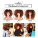ANNIVIA 10inch Short Curly Wig for Black Women - Ombre Brown Afro Kinky Curly Wig with Bangs - Synthetic Fiber Full Wig - Buy Online on GoSupps.com