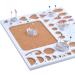 Paper Quilling Template Board Set with Slotted Tools, Pins - DIY Paper Craft Kit - Buy Online on GoSupps.com