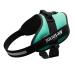IDC Powerharness Dog Harness Size: 2XL/3 Grass Green Grass Green 2XL/3