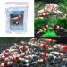 Buwei Shrimp and Snail Food Natto 40g - Buy Online on GoSupps.com