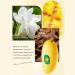 Hand Cream Mango Hand Milk Mango Moisturizing Hand Cream For Dry Cracked Hands And Skin Fruit Hand Lotion With Natural Plant Fragrance Moistured Nourishing Hand Cream Korean Skin Care - Buy Online on GoSupps.com