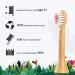 Ponpace Kids 3+ Bamboo Electric Toothbrush Replacement Heads - Compatible with Philips Sonicare, Plant-Based Bristles for Age 3+ Children - Buy Online on GoSupps.com