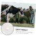 minkissy 3 Pcs Pregnant Tester Cattle High Precision Strips Pumpkin Leaf Bags Sheep Pregnancy Test Strip T Tool Early Pregnancy Farm Animal Supply Test Paper White The Cow Plastic Whitex3pcs 1 count (Pack of 1) - Buy Online on GoSupps.com
