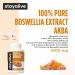 STAY ALIVE Boswellia Serrata Extract Capsules 1000mg with AKBA and 65% Boswellic Acid, 12:1 Resin Extract Powder, 120 Count for 2-Month Supply, Non-GMO and Gluten-Free Boswellia Supplement - Buy Online on GoSupps.com