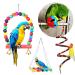 10-Piece Colorful Bird Toy Set for Parrots - Swings Chops Hanging Bells for Budgies Finch and Cockatiels - Buy Online on GoSupps.com