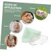 HANABASS Small Pet Ceramic Toilet Pet Toilet Trainer Small Animal Potty Trainer Gerbil Bedding Tray Ceramics 24x18.5cm Light Green - Buy Online on GoSupps.com