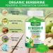 HEALOADING Berberine Supplement with Ceylon Cinnamon: Berberine Gummies with Milk Thistle Chromium for Metabolism Energy Gut Health Fasting & Body Mass Control - Buy Online on GoSupps.com