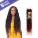 Freetress 2X Nita Distressed Gorgeous Loc 26 Crochet Braids 5-pack 4 - Buy Online on GoSupps.com