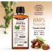 JOJOBA Organic Oil 150 ml - Cosmos Organic - Plan te au Naturel - Pure Natural and Cold Pressed - Hair Body Skin - Buy Online on GoSupps.com