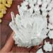 Natural Crystal Rough 600g Natural White Quartz Crystal Cluster Specimen Wedding Decoration Aquarium - Buy Online on GoSupps.com