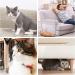 One Sight Cat Scratch Training Deterrent Tape 4x30 Yards - Clear Double Sided Furniture Protector for Cats | Anti-Scratch Cat Couch & Sticky Paws Tape - Buy Online on GoSupps.com