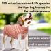 Buy Hipet Recovery Suit for Dogs & Cats - XXL Pink Striped | Post-Surgery Wound Protection & Licking Prevention - Buy Online on GoSupps.com